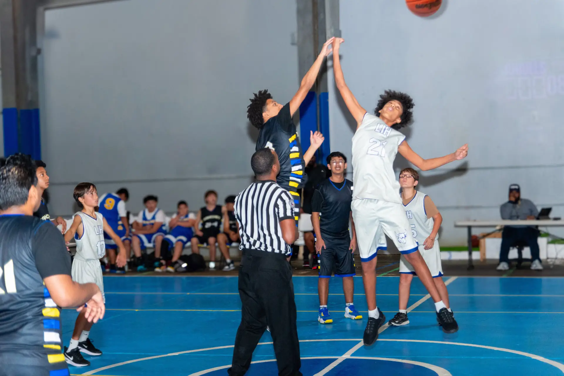 basket homepage